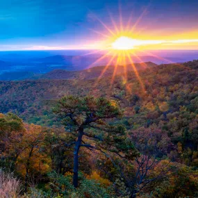 Fall Sunrise Shenandoah National Park Photographic Coaster