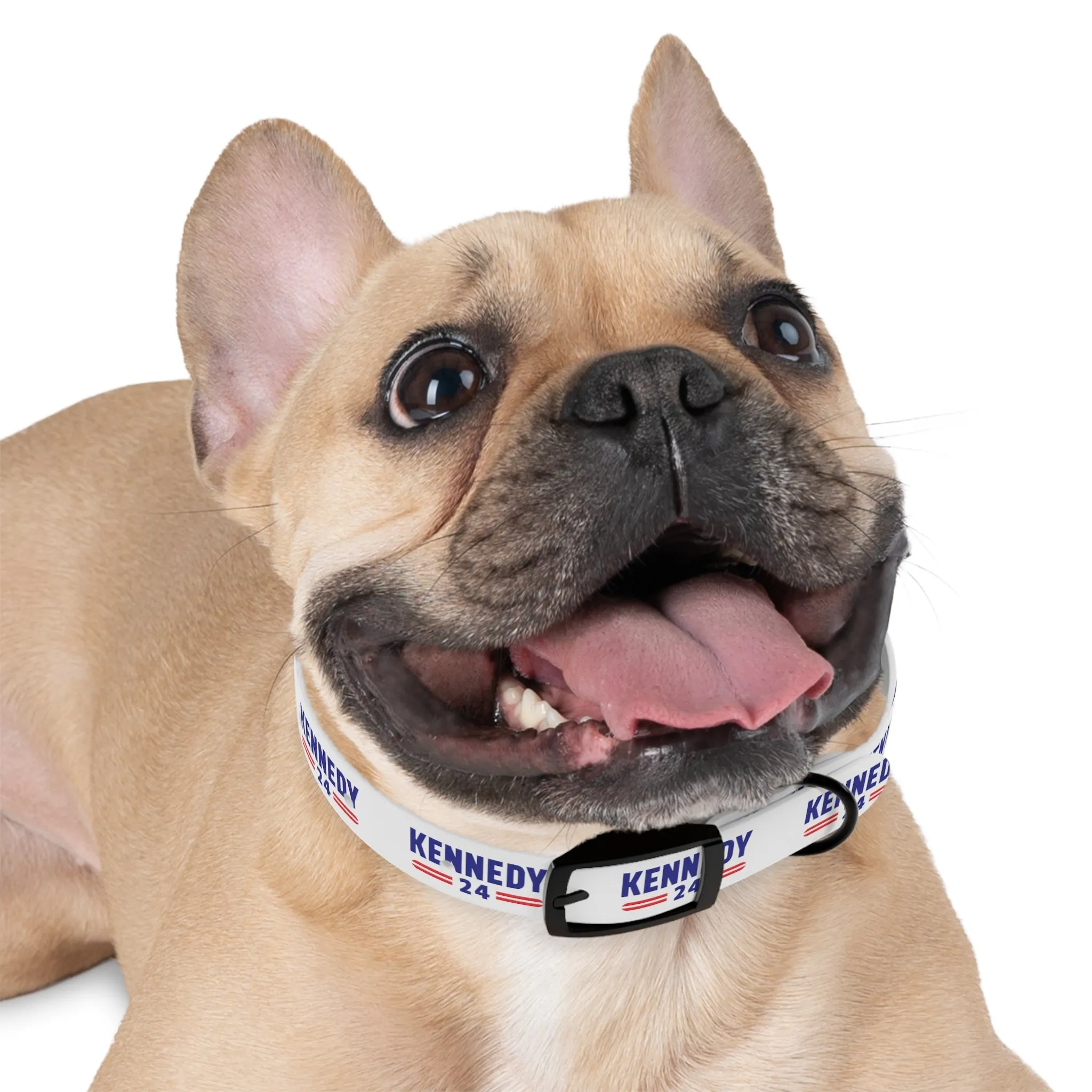 Kennedy Classic Dog Collar