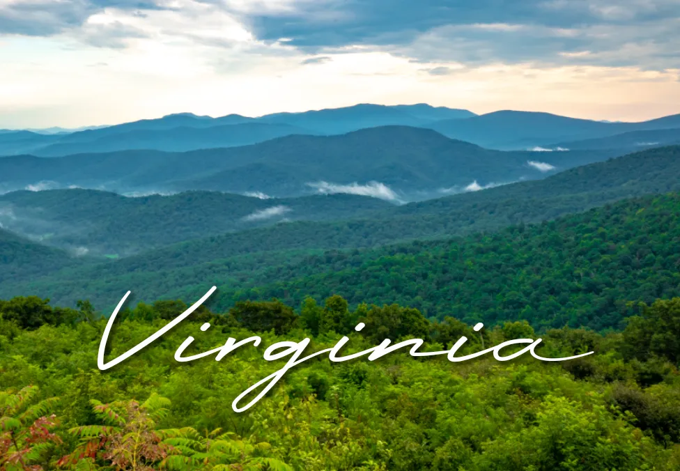 Virginia Mountain View 2"x3" Photo Magnet